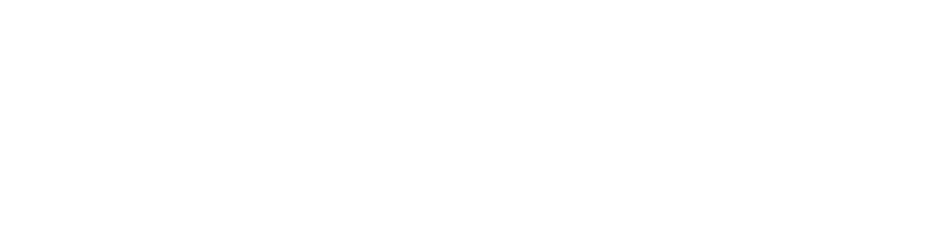 Nectar Collective logo for age verification gate
