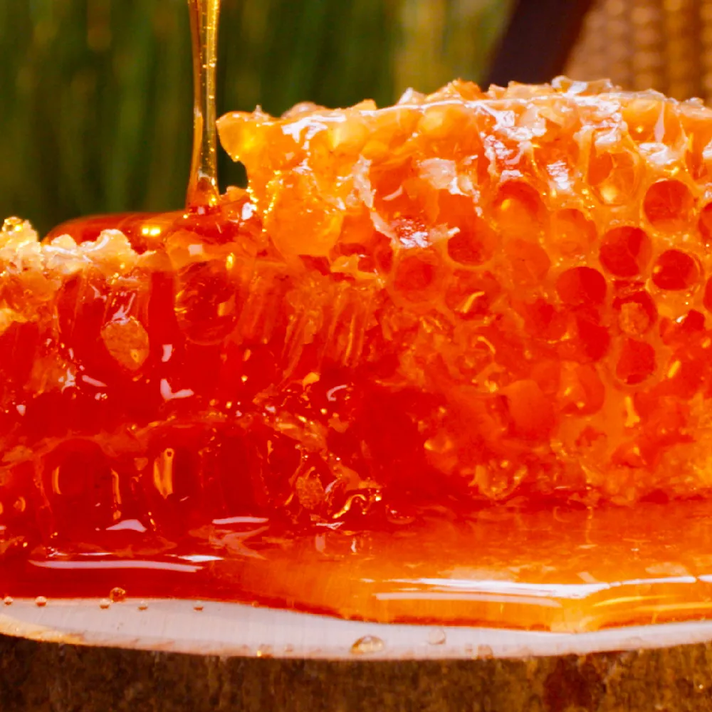 Hand Holding Peach Tree Sunlight Nectar